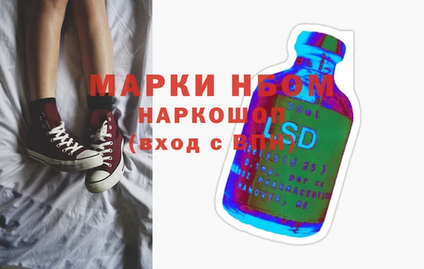 спиды Бородино