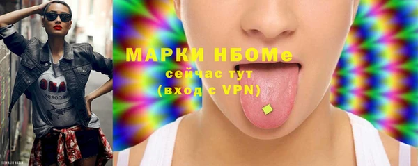 спиды Бородино
