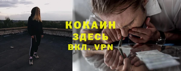 спиды Бородино