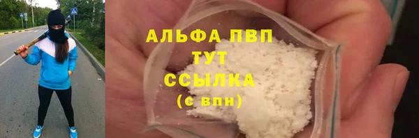 спиды Бородино