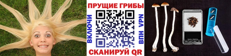 Псилоцибиновые грибы прущие грибы  OMG ссылки  Каменка  купить закладку 
